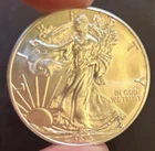 2013 Silver Eagle .999 Fine Silver 1 Troy Ounce US Mint Bullion The Real Deal