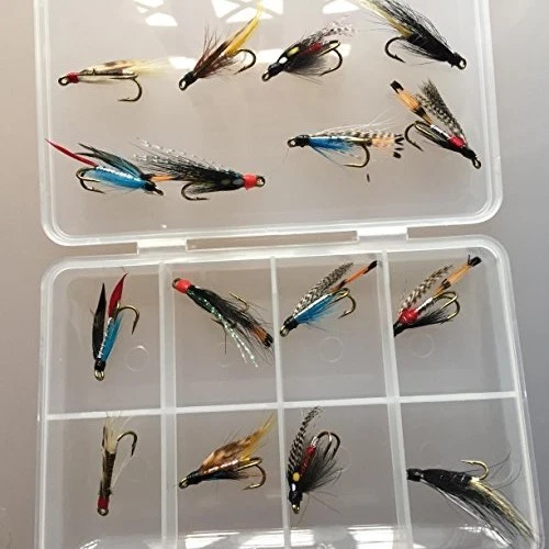 Mosca Pesca Doppio Bagnato Mosche Per Seatrout E Salmone con Scatola Set Di 16