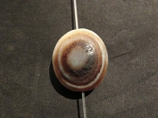 Great Rare Tibetan Natural Old Agate Dzi Sky Eyed Flat Bead HH097