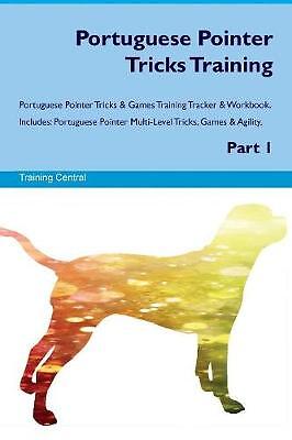 Portuguese Pointer Tricks Training Portuguese Poin