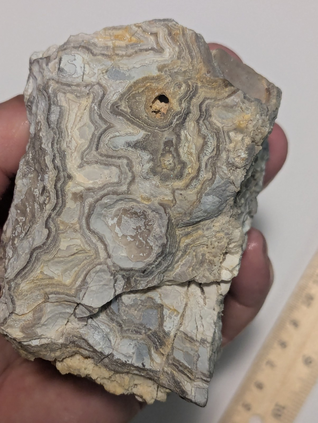 Big 1.5lb Summerville Crazy Lace Agate Chert Druzy Stone GA