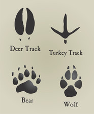 Reusable Stencil 3" Animal Paw Print Bear Wolf Deer Turkey Tracks DIY Art Sign