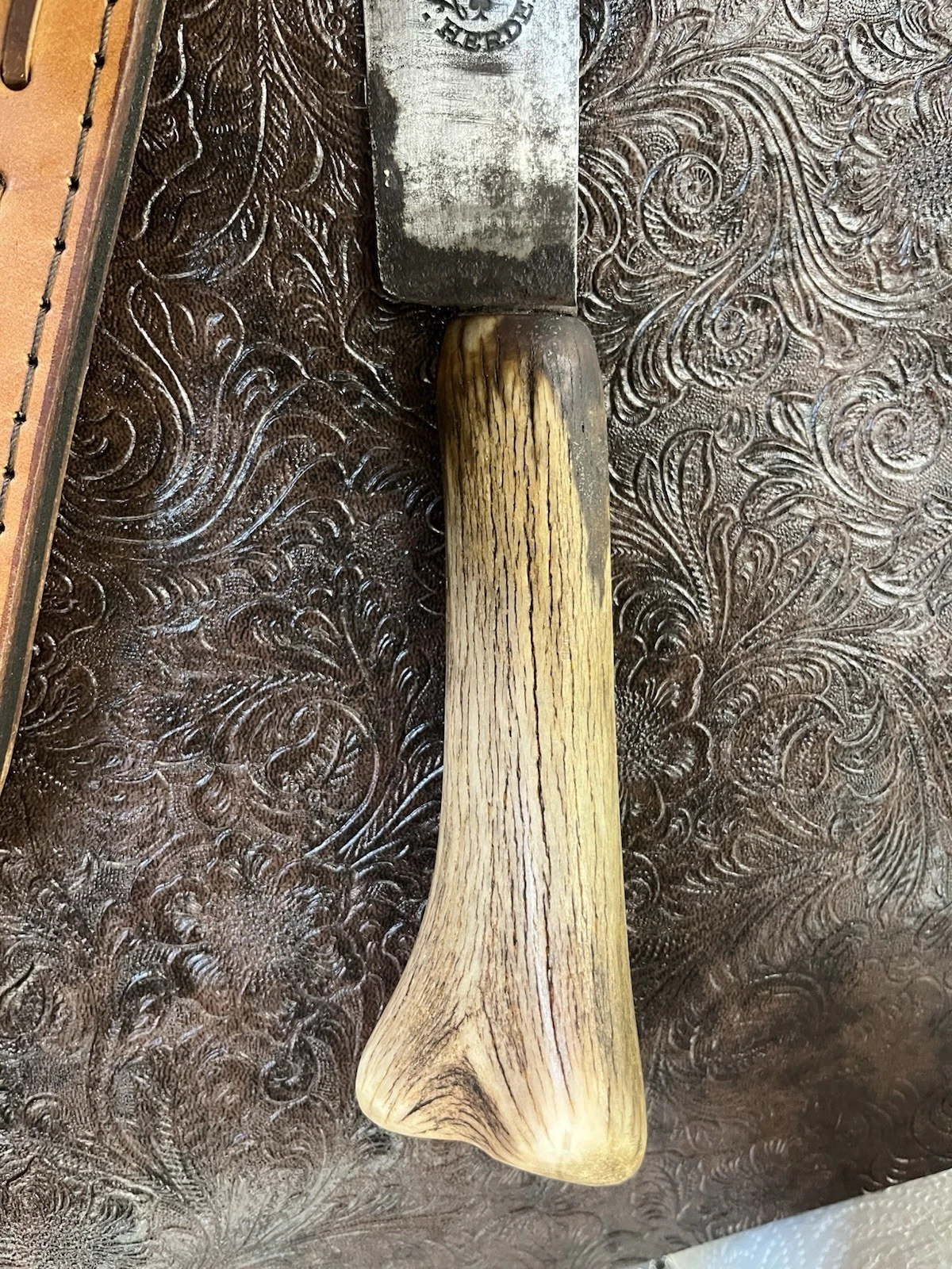 Picture 6 of 6