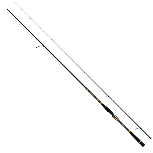 Daiwa Fishing Rod Seabus Rod MORETHAN BRANZINO EX AGS 93L/M-S Black | eBay