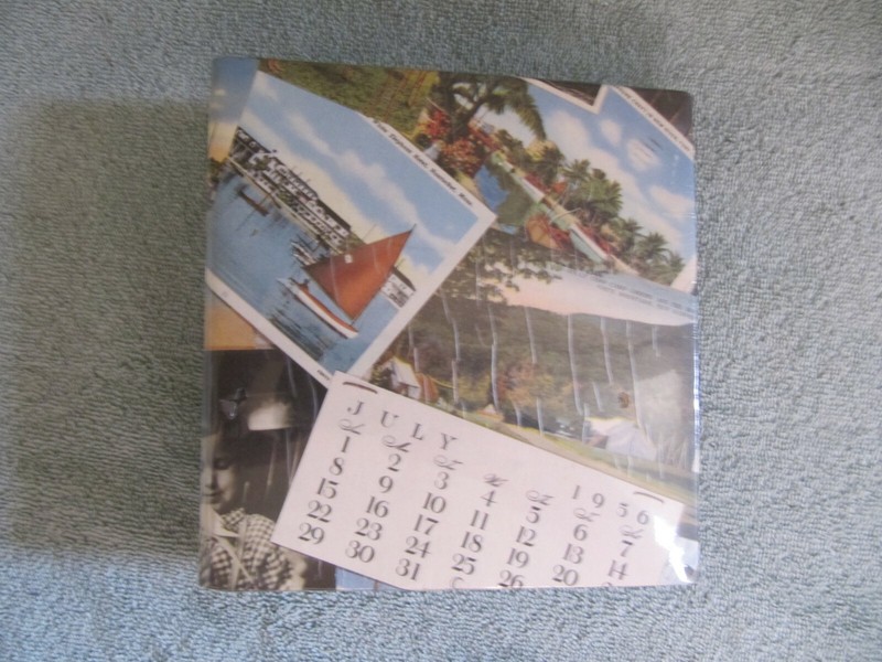 BURNES TRAVEL THEME PHOTO ALBUM 50 2 SIDED 4"x6" IN RING BINDER