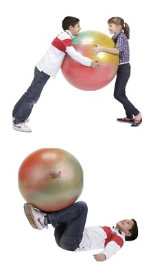 Gymnastikball Gymnic Arte Ball 65 Cm