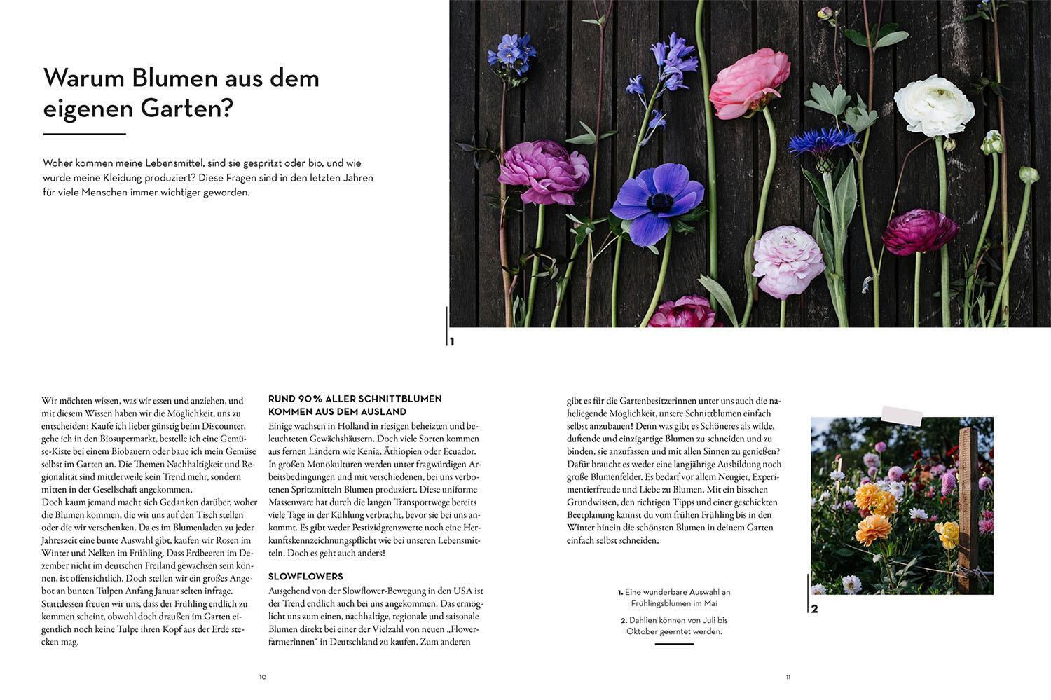 Thumbnail - Katharina Funk / Vom Garten In Die Vase / 9783440176696