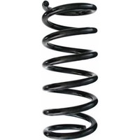 Spidan 87032 Fahrwerksfeder FüR Opel Chevrolet Antara Captiva L07 C100 C140
