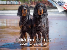 Gordon Setter Dog Breed Calendar 2026 12x18 Made in USA