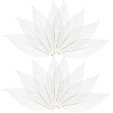 100PCS Skeleton Natural Leaves Craft Dried Leaf Scrapbook Dried Leaf Specimen