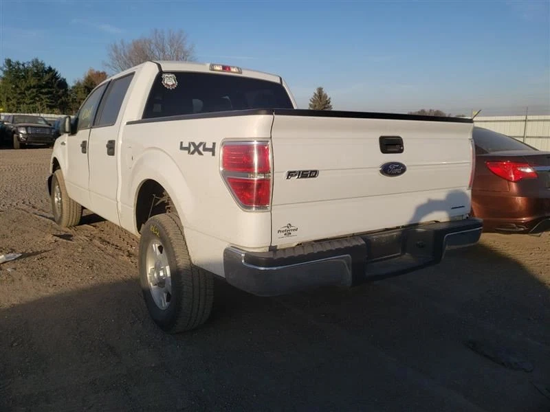 Vidrio puerta delantera derecha pasajero para camioneta Ford F150 04-14 10215272 Foto 4 de 4