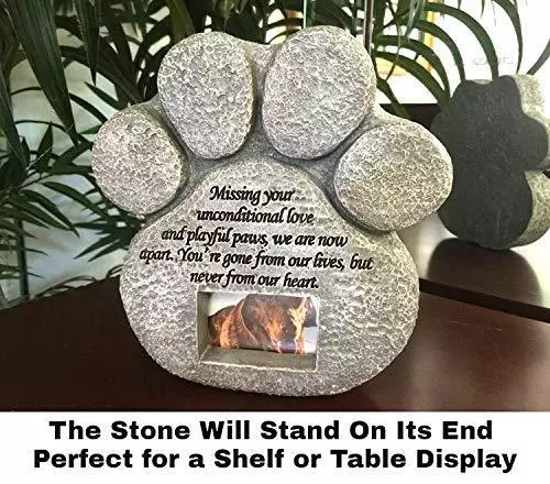Pawprints remembered 2025