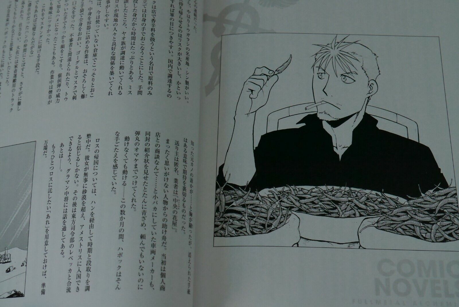 Fullmetal Alchemist 20th Anniversary Book Hiromu Arakawa - Destockjapan