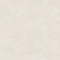 Dieter Langer Tapete Vlies Tango Putz-Optik Beige-Grau Metallic 58838 (8,37€/1Qm