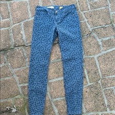 Anthropologie Pilcro blue 25 stretch velvet detail STET pants jeans