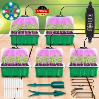 5 Stück Zimmergewächshaus Anzuchtkasten mit Licht, Mini Gewächshaus Anzucht Set