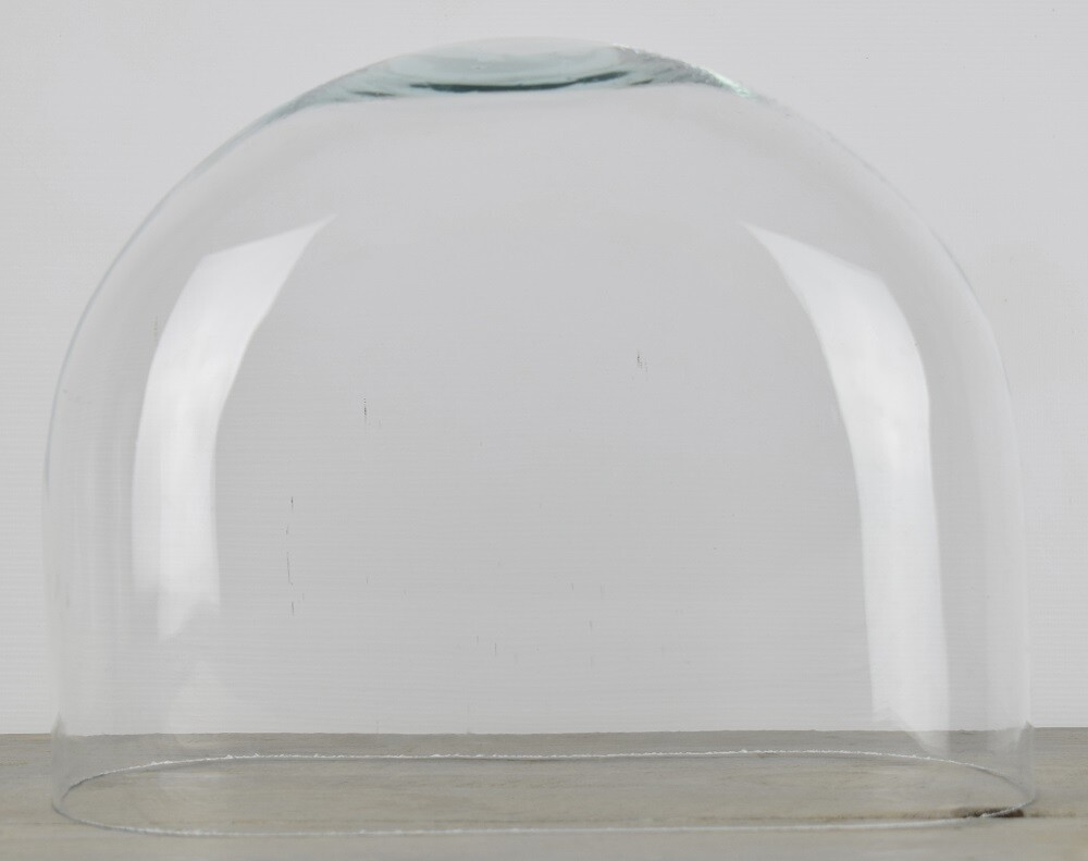 Vintage Look Medium Oval Glass Display Dome Height 25.5 x 16 x 32 cm