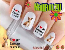 Nail Art 122A DOG BREED Love my Chihuahua Brown WaterSlide Nail Decals Transfers