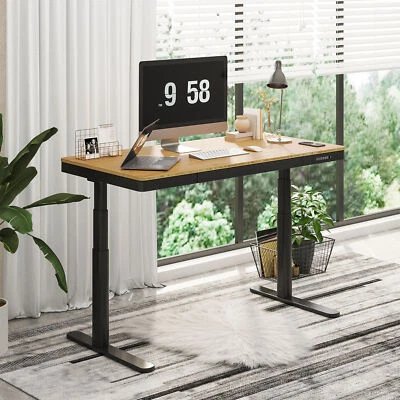 FlexiSpot Dual Motor 55" Bamboo Desktop Electric Standing Desk Wireless Charging