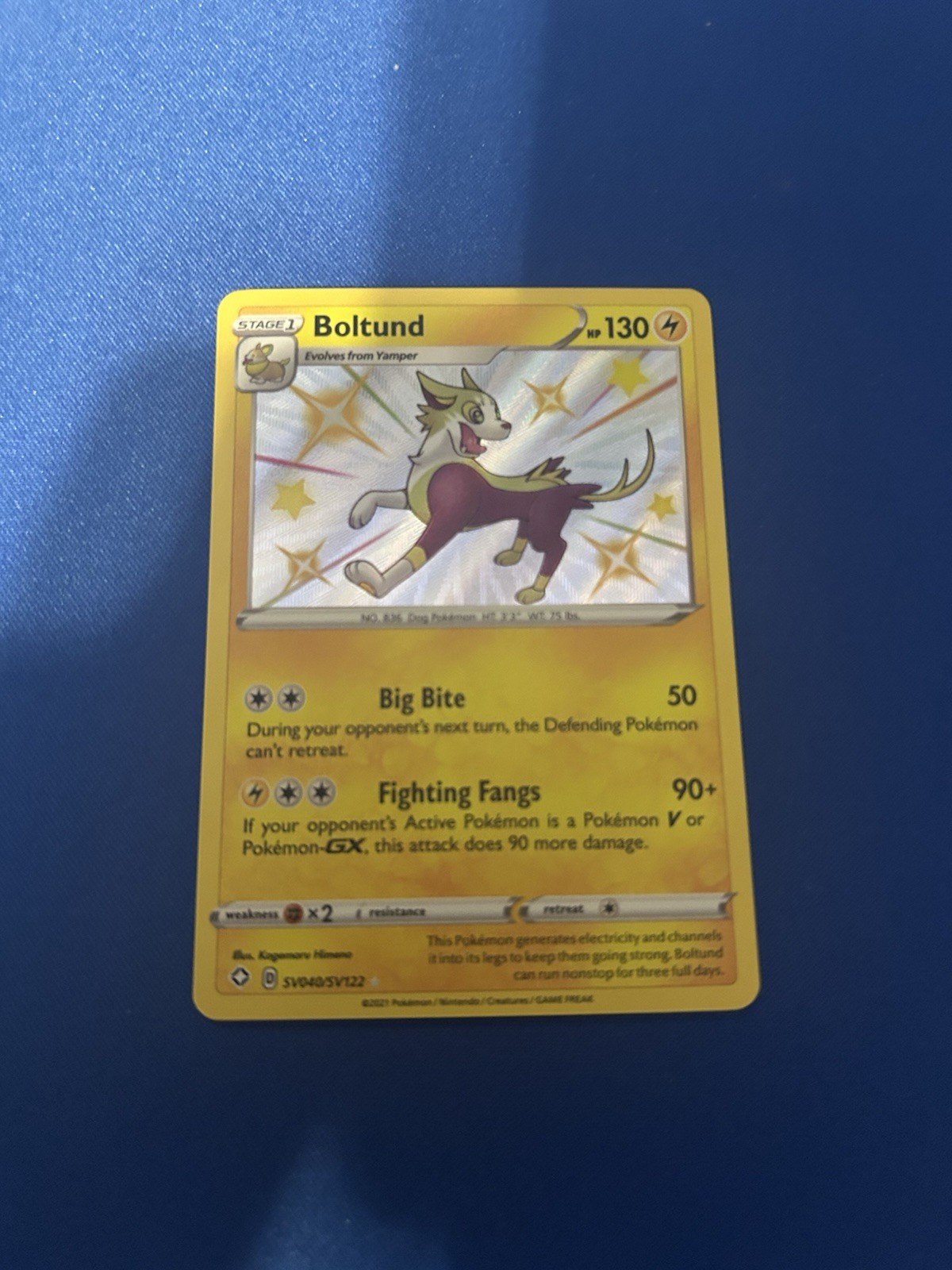 Boltund SV040/SV122 - Shining Fates - Shiny Holo Rare - Pokemon Card TCG -NM