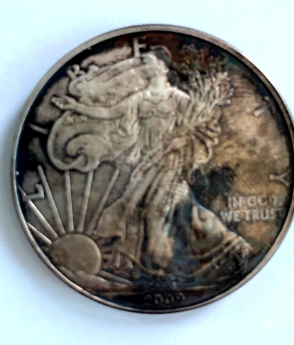 2009 American Eagle One Ounce Silver in Good Condition with Toning