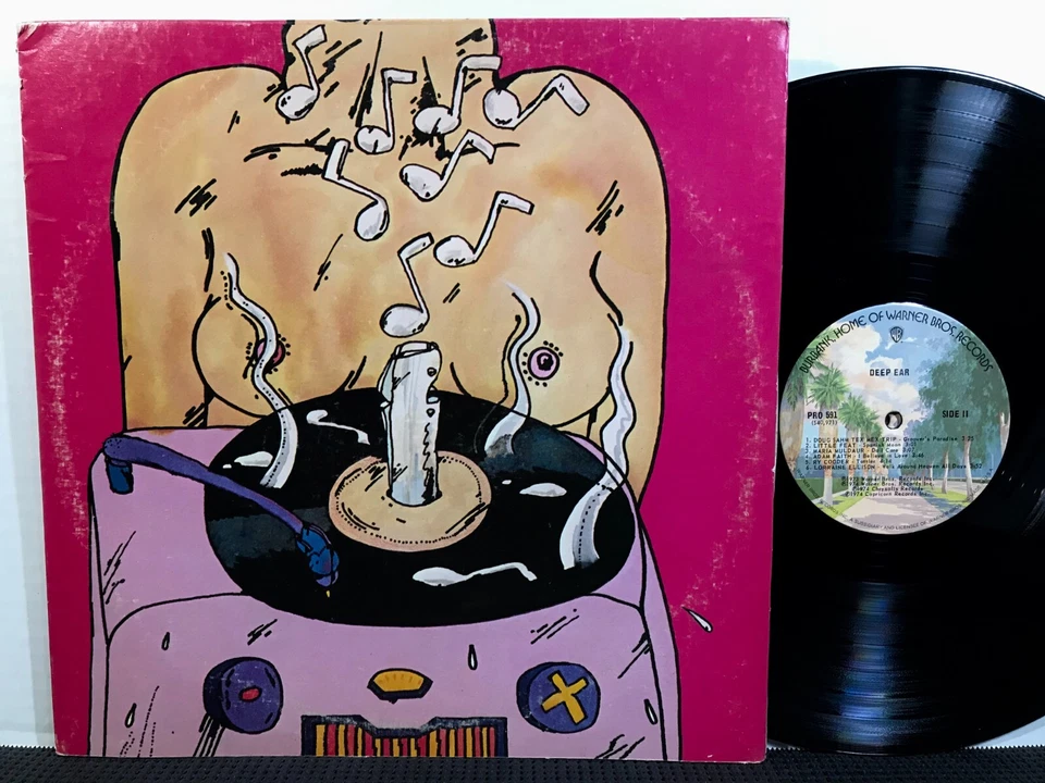 DEEP EAR 2 LP WARNER BROS PRO 591 1974 Comp JAMES TAYLOR BONNIE RAITT METERS Foto 2 de 4