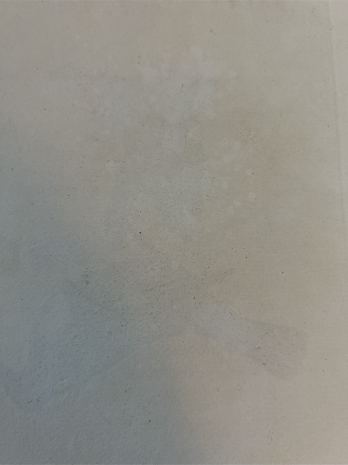 Picture 7 of 7