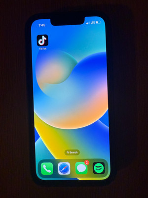 Apple iPhone 13 mini - 128 GB - Green (Unlocked) with TikTok