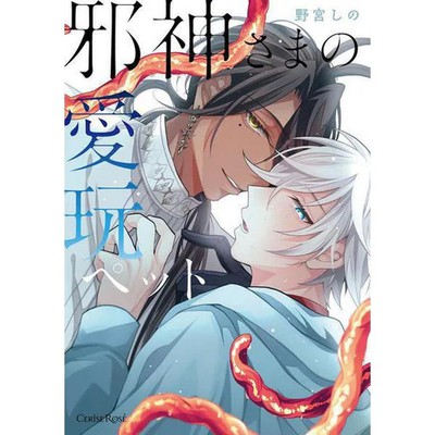 Evil God's Pet Comic Series 66 Fantasy Love BL Excellent For Ages 14+