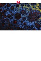 Somaya El-Deeb (U. A.) | ProteíNa C-Reativa E DiagnóStico De Cancro | Buch