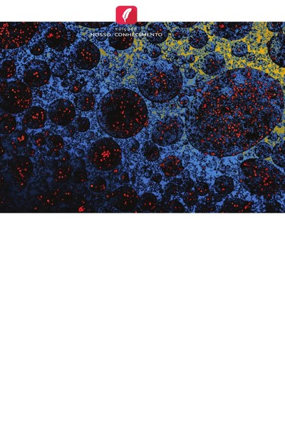 Somaya El-Deeb (U. A.) | ProteíNa C-Reativa E DiagnóStico De Cancro | Buch-image