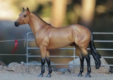 Breyer Ideal Series Buckskin 2025 limited edition benefits charity 100%