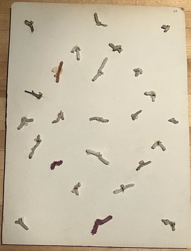 25 Plaster Of Paris Floral Buttons Framed Antique & Vintage Pre-1960's - Image 4 of 4