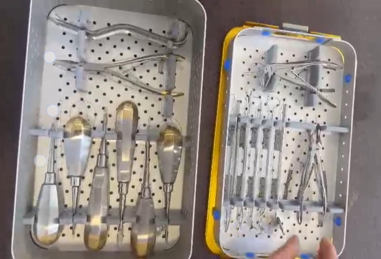 Dental Surgical Instrument Set with Sterilization Tray Extraction Forceps Elevat