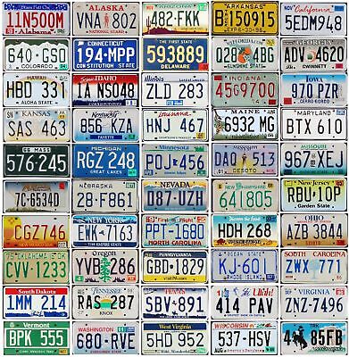  15 States Replica Car License Plates, US States Auto Number  Tags, Room Man Cave Garage Sports Bar Decor : Automotive