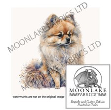 Pommersche Hundespritzer 100 % Baumwolle oder 290 gm dick weicher Polyesterstoff