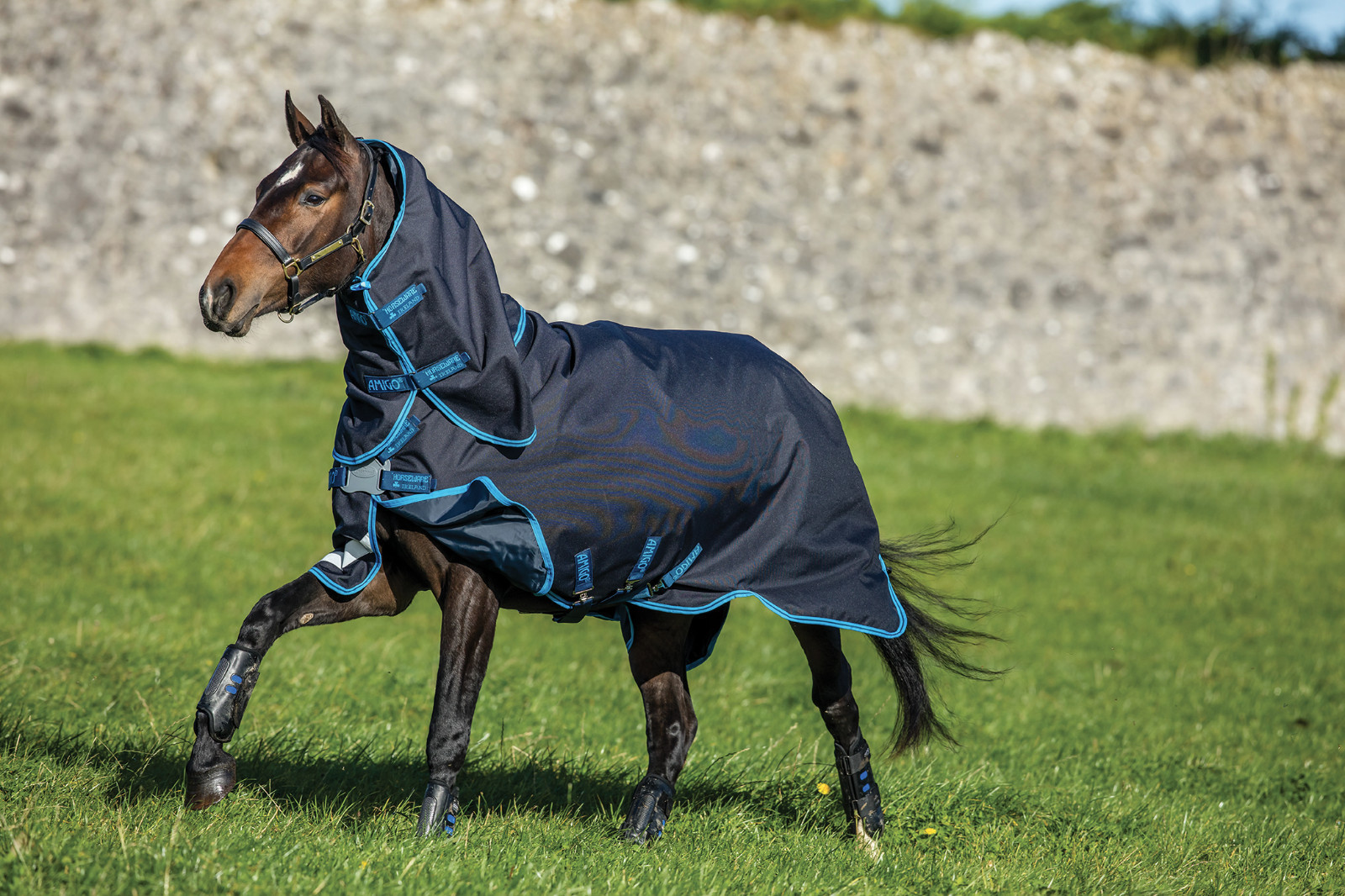 Horseware Amigo Bravo Bundle 50g 1200d Turnout Rug Plus Hood & 2 Liners