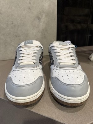 Dior B27 White Gray Oblique Sneaker - Size 45 (US 12) | eBay