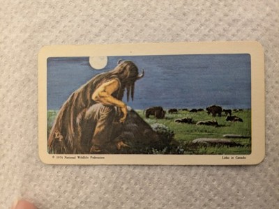 Indians of Canada by Brooke Bond Tea Card