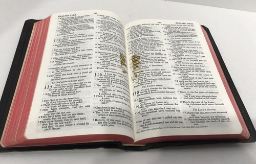 Holy Bible Helps Harper 1952 Vintage Revised Standard Brevier Illustrations - Picture 11 of 12