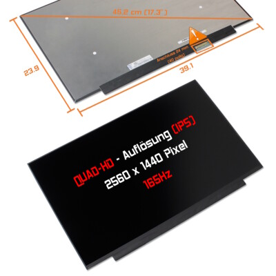 17,3'' LED Display matt passend für Tongfang GM7MG7P IPS 165Hz WSUXGA WSUXGA