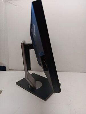 Dell P2210 22