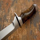 Model # 7741 Impact Cutlery Custom Bowie Knife Rosewood handle | D2 — photo 6