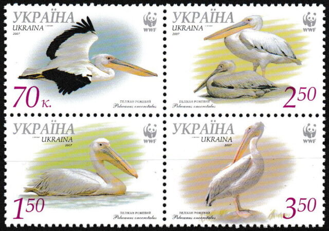 Ukraine - Rosapelikan WWF Viererblock postfrisch 2007 Mi. 897-900