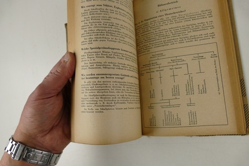 Hilfsbuch der Bühnentechnik F. Hansing W. Unruh 1950 C. Marhold Band 2 TO-6901 - 第 12/21 張圖片