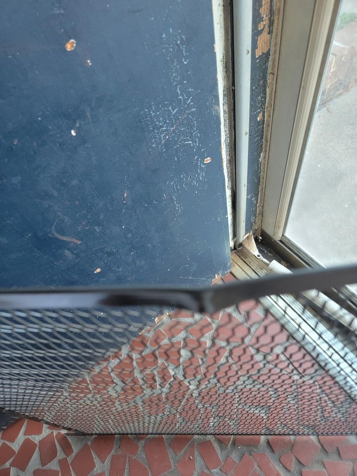 Guardian Steel Pet Grille Screen Door Protector for Dogs Pets Cats