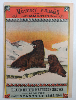4. 1882 CIRCUS TRADE CARD Maybury Pullman by Courier LItho Buffalo SEA LIONS