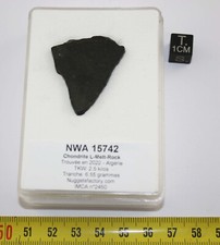 Tranche de Météorite NWA 15742 - L-Melt-Rock (Algérie - 6.55 grammes - 001 **)