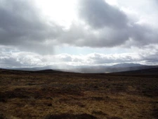 Photo 6x4 Raised Bog Calvine  c2008