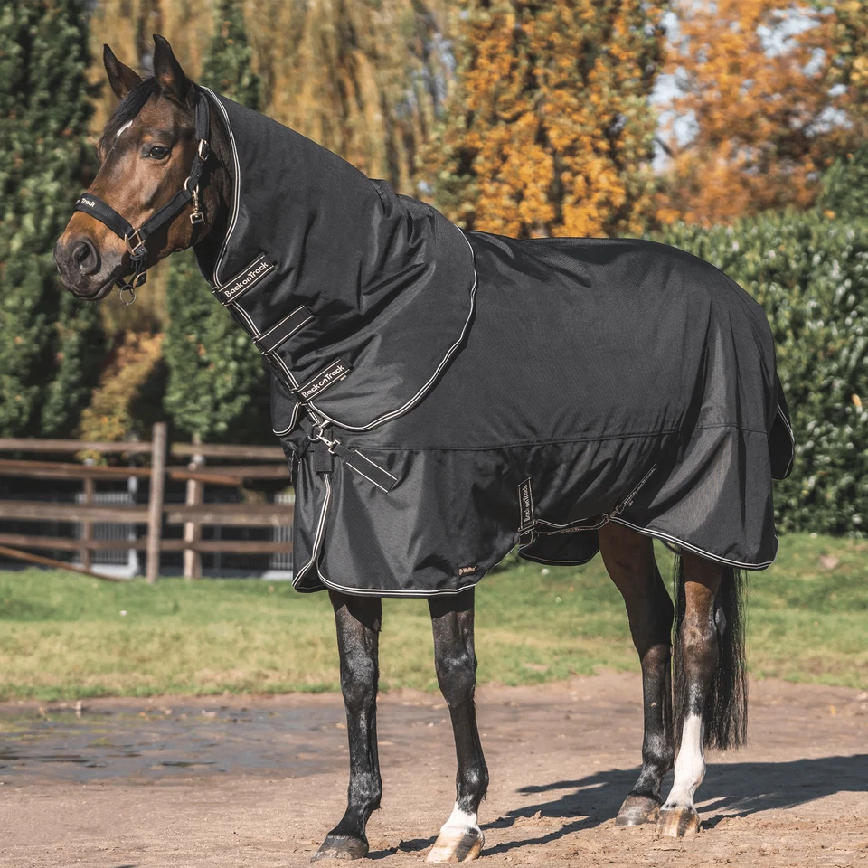 Back on Track Obsidian 150g Turnout rug + - Bild 1 von 1